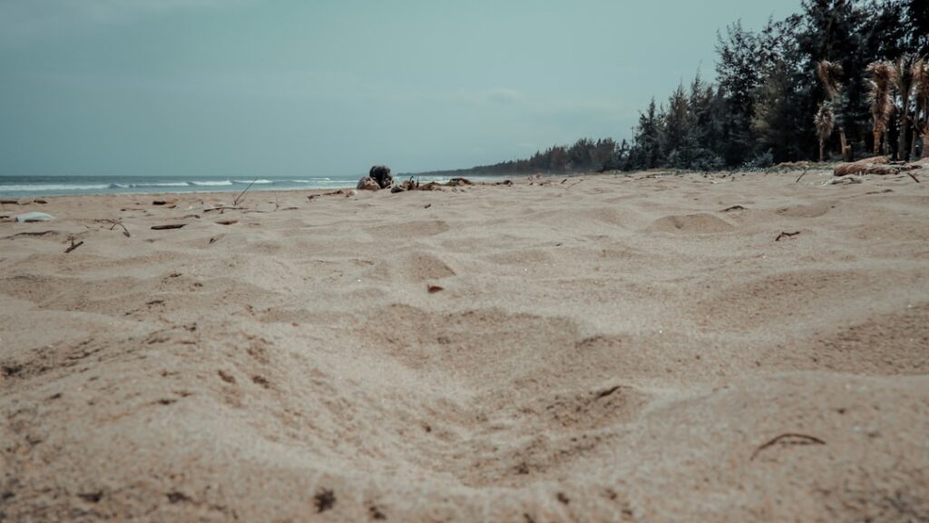 Ez a helyes viselkedés egy nudista strandon